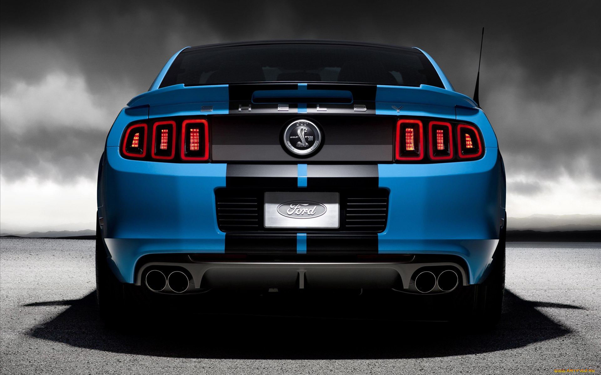 ford, shelby, gt500, 2013, , mustang